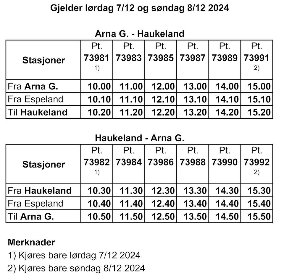 rutetider juletog 2024